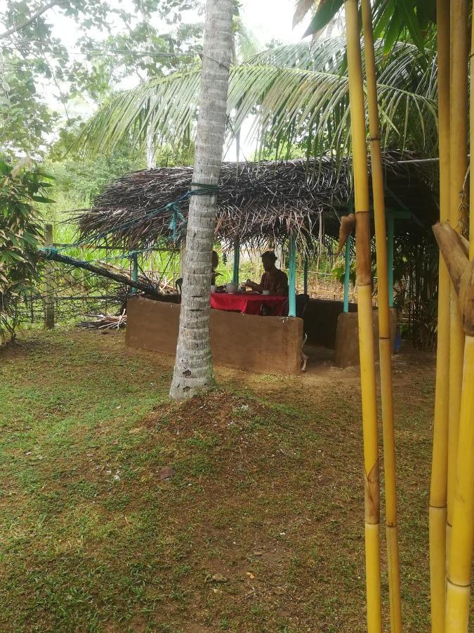 Bamboo Home Stay Hiriketiya Dikwella Exterior foto