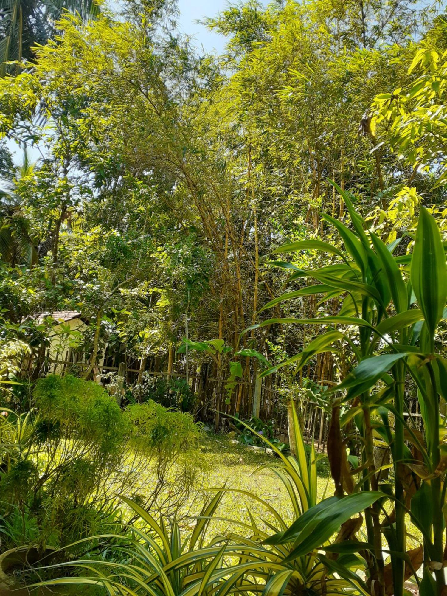 Bamboo Home Stay Hiriketiya Dikwella Exterior foto